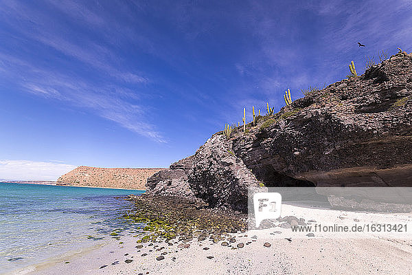 Sandstrand und Felsklippe  Isla Espiritu  Mexiko.