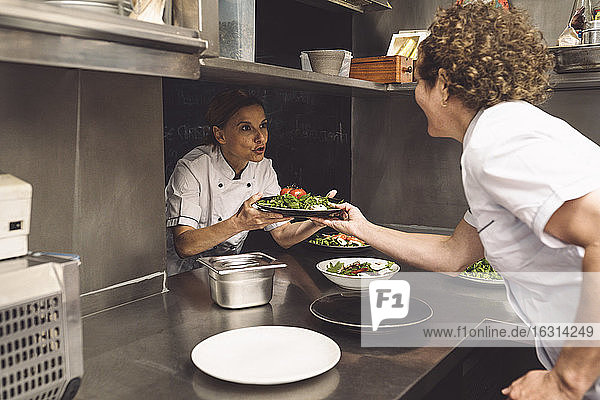 Female chef talking to coworker while giving food plate in commercial kitchen