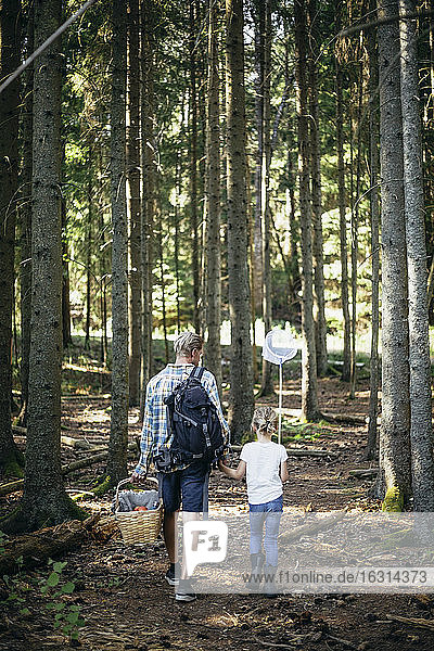 Rückansicht des Vaters  der einen Picknickkorb hält  während die Tochter mit einem Fischernetz im Wald spazieren geht
