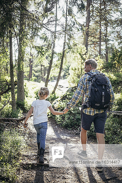 Rear view of daughter holding hands with father while walking in forest