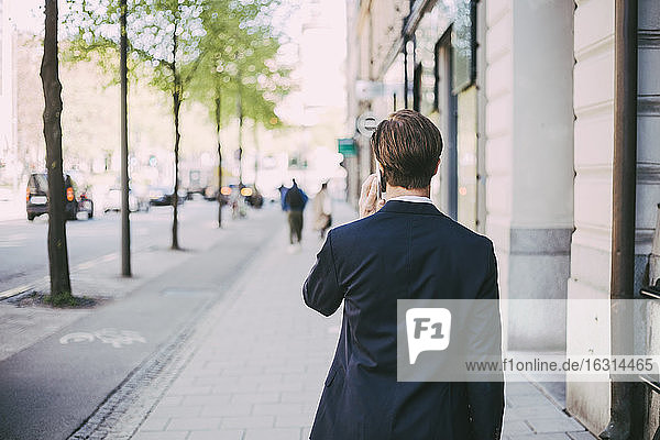 Rear view of businessman talking on phone in city