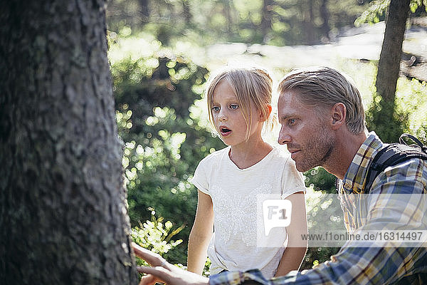 Father and daughter looking at tree trunk in forest