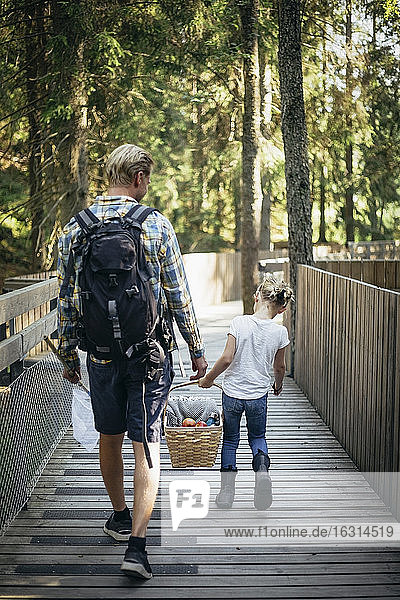 Rückansicht von Vater und Tochter  die einen Picknickkorb halten  während sie auf einem Steg im Wald spazieren gehen