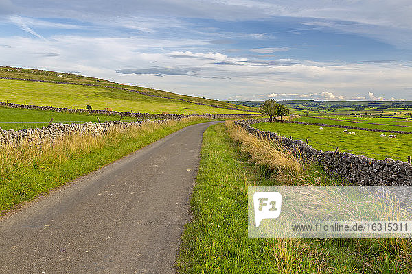 Blick auf Trockenmauern und Landschaft in der Nähe von Litton  Peak-District-Nationalpark  Derbyshire  England  Vereinigtes Königreich  Europa