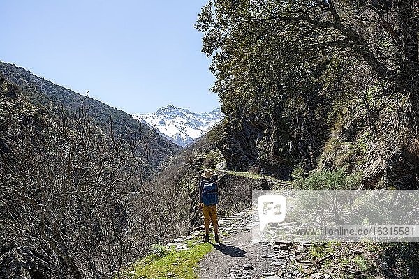 Zwei Wanderer auf einem Wanderweg  Wanderweg Vereda de la Estrella  hinten Sierra Nevada mit Gipfel Mulhacén und Pico Alcazaba  schneebedeckte Berge bei Granada  Andalusien  Spanien  Europa
