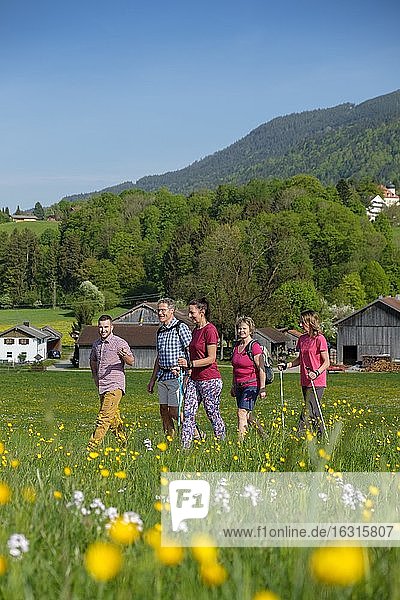 Gruppe beim Wandern  Wanderung  Schönau bei Bad Heilbrunn  Loisachtal  Oberbayern  Bayern  Deutschland  Europa