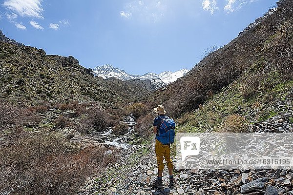 Wanderer auf einem Wanderweg  Wanderweg Vereda de la Estrella bei Junta de los Rios  hinten Sierra Nevada mit Gipfel Mulhacén und Pico Alcazaba  schneebedeckte Berge bei Granada  Andalusien  Spanien  Europa