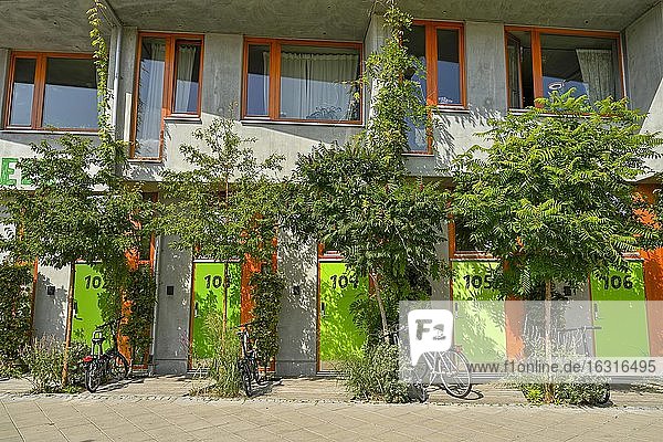 Begrünte Hausfassade  Eingangsbereich eines Wohnhauses  Malmö  Schweden  Europa