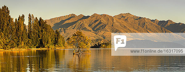 Wanakasee bei Sonnenaufgang  Mount-Aspiring National Park  UNESCO-Weltkulturerbe  Otago  Südinsel  Neuseeland  Pazifik