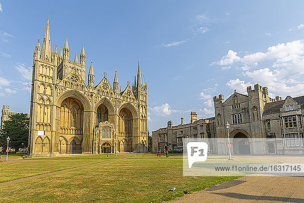 Ansicht der gotischen Fassade der Kathedrale von Peterborough vom Dean's Court  Peterborough  Northamptonshire  England  Vereinigtes Königreich  Europa