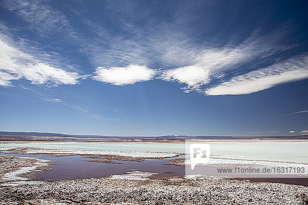 Laguna Tebenquicne  a salt water lagoon in the Salar de Atacama  Los Flamencos National Reserve  Chile  South America