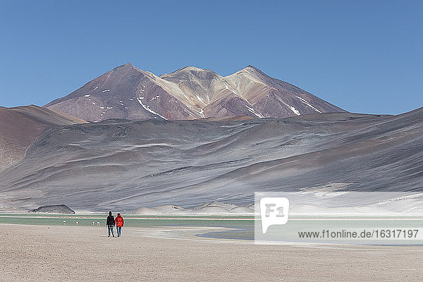 Coupé-Wandern im Salar de Aguas Calientes  Nationalreservat Los Flamencos  Region Antofagasta  Chile  Südamerika