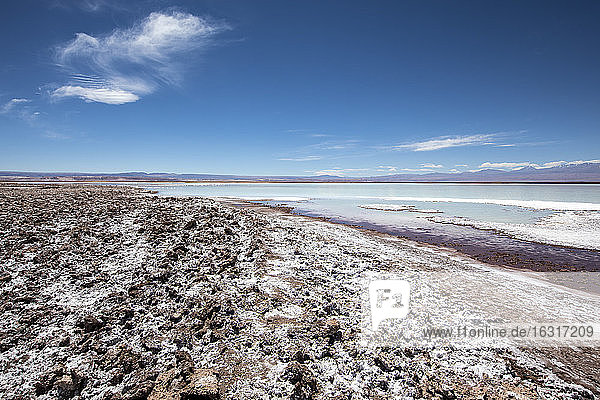 Laguna Tebenquicne  a salt water lagoon in the Salar de Atacama  Los Flamencos National Reserve  Chile  South America