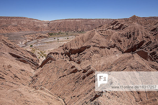 Sonnenverbrannte Hügel bei Quebrada de Chulacao  Catarpe-Tal in der Atacama-Wüste  Chile  Südamerika