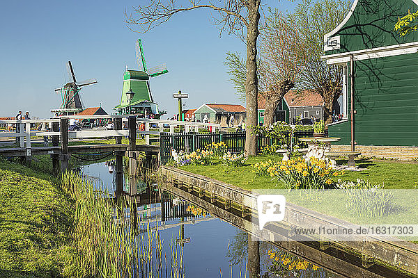Traditionelles Dorf  Zaanse Schans  Zaandam  Nordholland  Niederlande  Europa