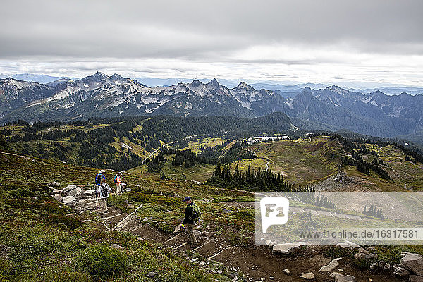 Ansichten vom Skyline Trail des Mount Rainier Nationalparks  Bundesstaat Washington  Vereinigte Staaten von Amerika  Nordamerika