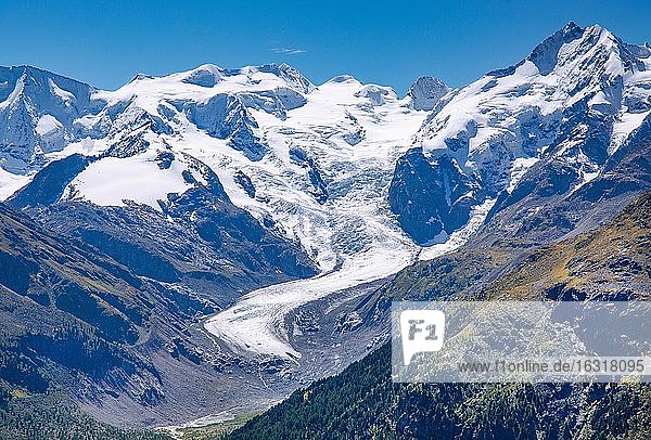 Piz Palü  Bellavista  Piz Bernina und Morteratschgletscher über dem Morteratschtal  Pontresina  Berninaalpen  Oberengadin  Engadin  Graubünden  Schweiz  Europa