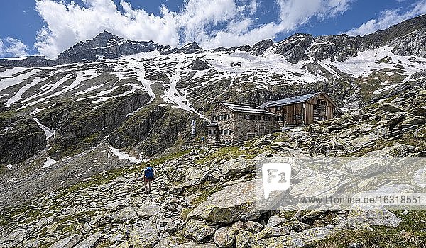 Friesenberghaus in front of snowy mountains  Zillertal Alps  Zillertal Alps  Zillertal  Tyrol  Austria  Europe