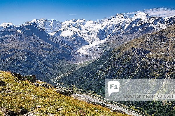 Piz Palü  Bellavista  Piz Bernina und Morteratschgletscher über dem Morteratschtal  Pontresina  Berninaalpen  Oberengadin  Engadin  Graubünden  Schweiz  Europa