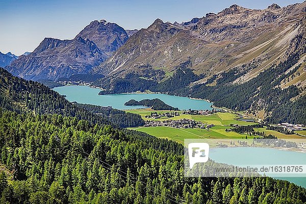 Silvaplanersee und Silser See  Silvaplana  Inntal  Berninaalpen  Oberengadin  Engadin  Graubünden  Schweiz  Europa