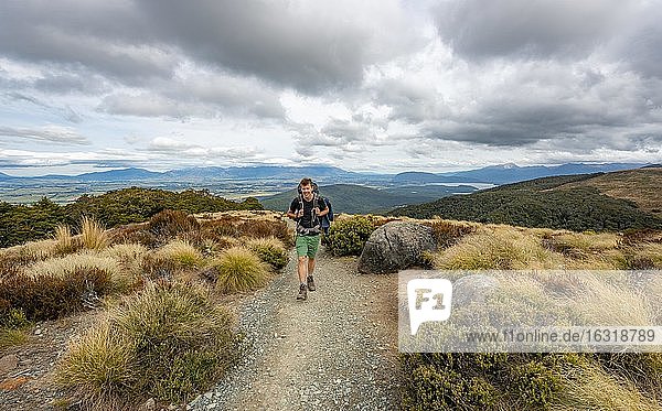 Hiker on Kepler Track  Fiordland National Park  Southland  South Island  New Zealand  Oceania