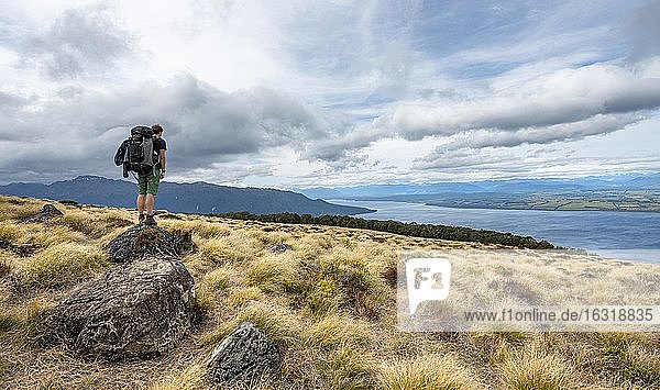 Wanderer blickt auf See Te Anau und Southfiord  Kepler Track  Fiordland Nationalpark  Southland  Südinsel  Neuseeland  Ozeanien