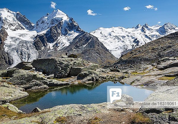Kleiner Bergsee auf Fuorcla Surlej mit Piz Roseg und Piz Glüschaint  Silvaplana  Berninaalpen  Oberengadin  Engadin  Graubünden  Schweiz  Europa