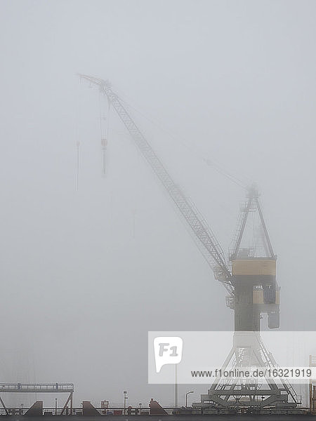 Deutschland  Hamburg  Hamburger Hafen  Hafenkran und Nebel