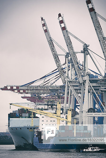 Deutschland  Hamburg  Hamburger Hafen  Entladung von Containerschiffen