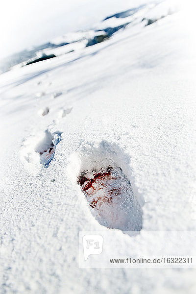 Blutverschmierte Fußabdrücke im Schnee
