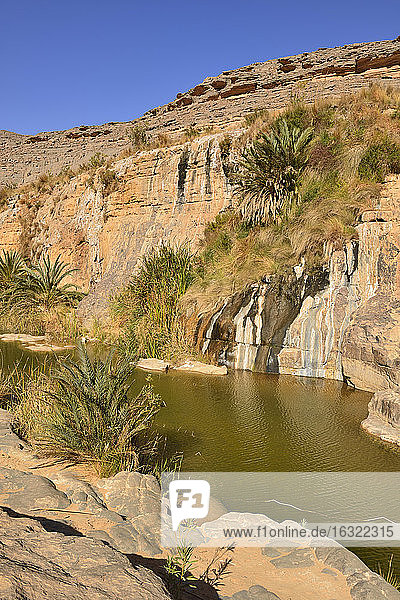 Africa, Algeria, Tassili N'Ajjer National Park, Iherir, Water in a guelta in Idaran Canyon