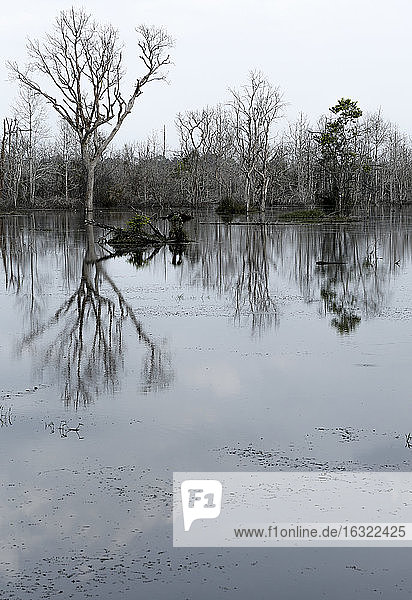 Cambodia, dammed up water at Neak Pean