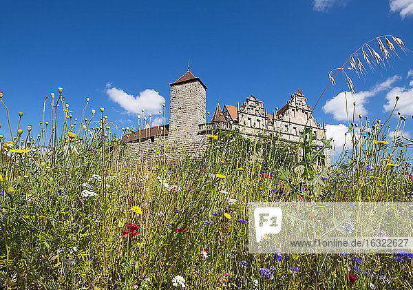 Germany  Bavaria  Central Franconia  Cadolzburg  castle and flower meadow