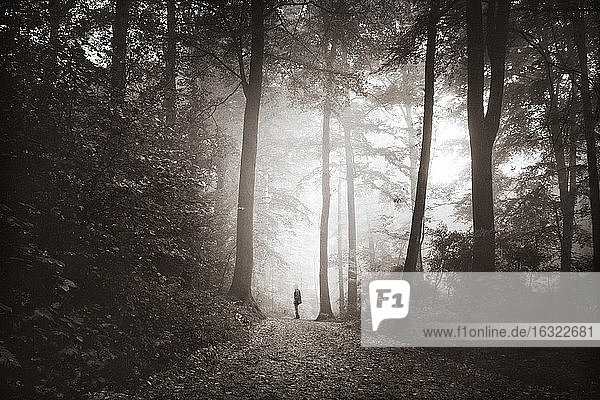 Mann geht auf Waldweg im Morgennebel