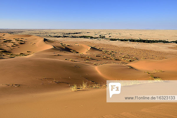 Namibia  Namib-Wüste  Blick auf Wüstendünen im Namib-Naukluft-Nationalpark bei Gobabeb