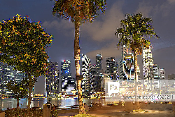 Singapur  Palmen an der Promenade  Skyline in der Abenddämmerung