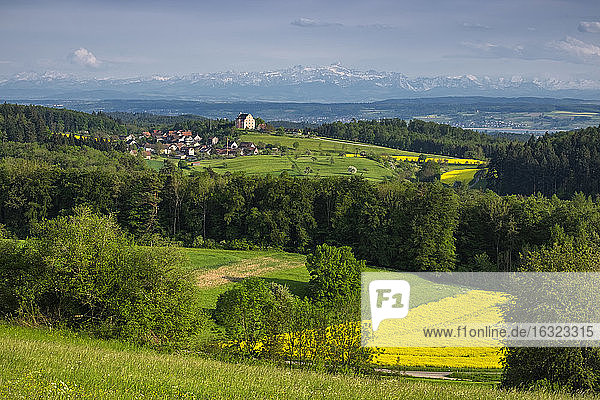 Deutschland  Baden-Württemberg  Landkreis Konstanz  Blick über Bodanrück zum Schloss Freudental  im Hintergrund Schweizer Alpen mit Saentis