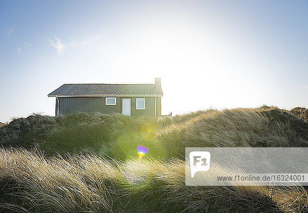 Dänemark  Henne Strand  Haus in den Grasdünen
