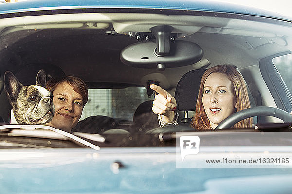 Two female friends sitting in a car with their French bulldog