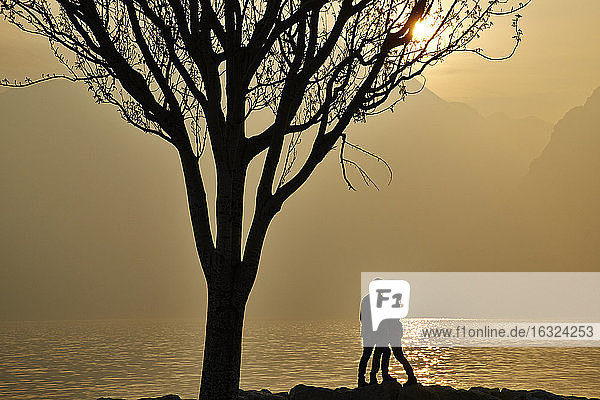 Italy  Torbole  Lake Garda  couple kissing at lakeshore at dusk