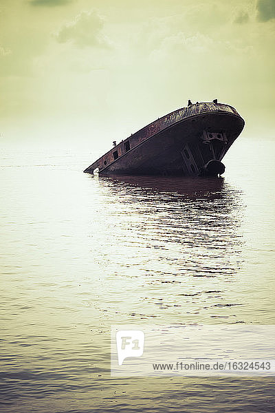 Deutschland  hamburg Schiffswrack im Wasser