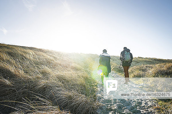 Denmark, Henne Strand, People hiking in dune landscape