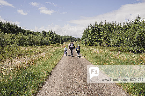 Back view of father hiking with his sons on country road  Cairngorms  Scotland  UK