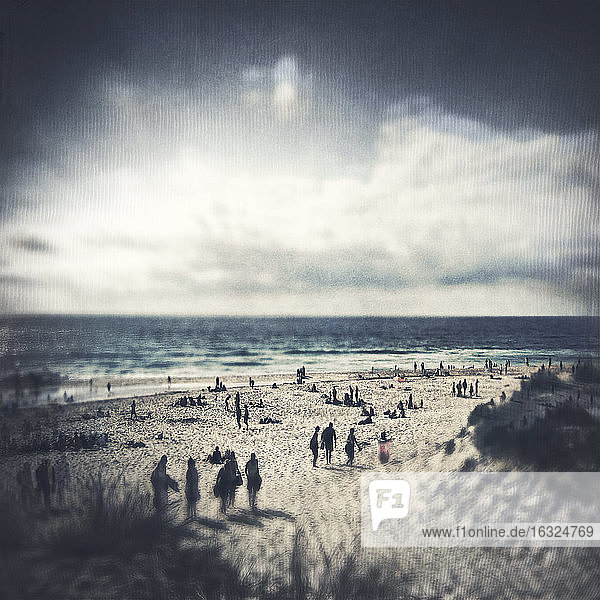 France  beach of Contis-Plage  textured effect