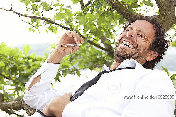 Deutschland  entspannter Geschäftsmann liegt im Baum und raucht einen Joint