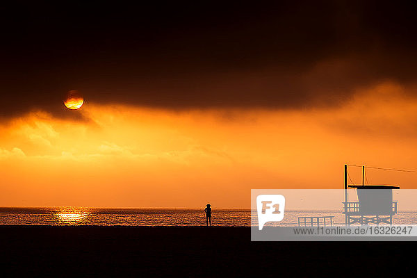 USA  California  Santa Monica State Beach  Rear view of nude man standing on beach at sunset