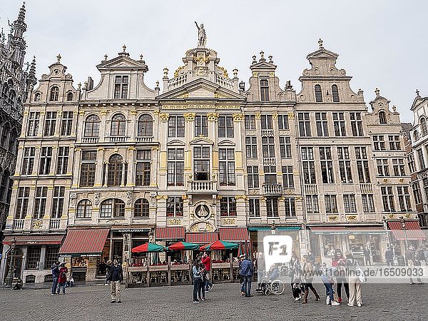 Gildehäuser Gebäude am Grote Markt  Brüssel  Belgien  Europa