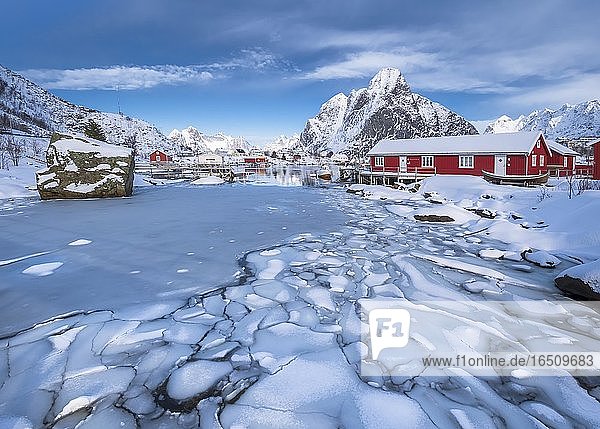 Eisschollen im zugefrorenem Fjord  hinten rote Holzhäuser und winterliche Berglandschaft  Nordland  Lofoten  Norwegen  Europa
