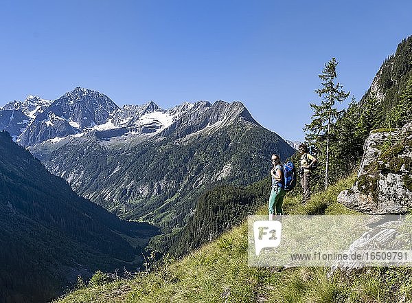 Wanderer blicken auf Berge  Zamser Eck  Kleiner Hochsteller  Kälberlahnerspitze und Hochsteller  Zillertaler Alpen  Zillertal  Tirol  Österreich  Europa
