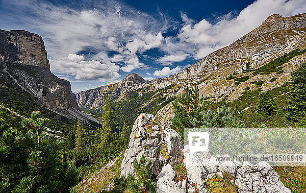 Langental  Dolomiten  Südtirol  Italien  Europa